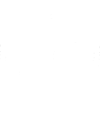 Liquid Esports